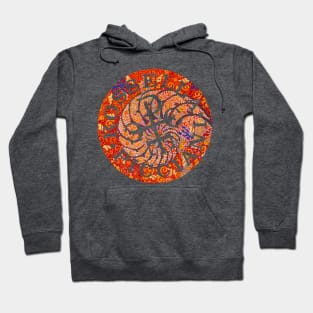 Spiral Hoodie